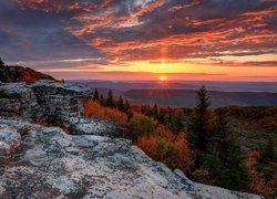 Stany Zjednoczone, Stan Wirginia Zachodnia, Dolly Sods Wilderness, Skały Bear Rocks, Wschód słońca, Wzgórza, Las, Jesień, Chmury