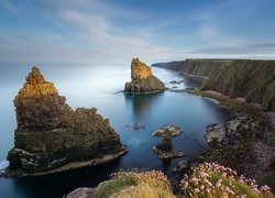 Przylądek Duncansby Head, Morze, Klif, Wybrzeże, Skały, Duncansby Stacks, Roślinność, Szkocja