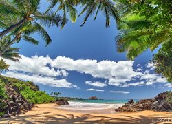 Skały i pochylone palmy na hawajskiej plaży Makena