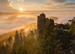 Niemcy, Park Narodowy Saskiej Szwajcarii, Wschód słońca, Skały, Góry Połabskie, Mgła, Drzewa