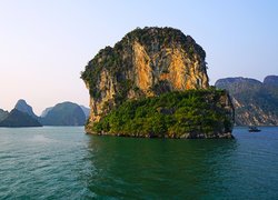 Wietnam, Prowincja Quan Ning, Zatoka Ha Long, Skały, Roślinność
