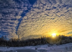 Zima, Zachód słońca, Drzewa, Chmury