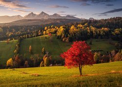 Słowackie góry i lasy jesienną porą
