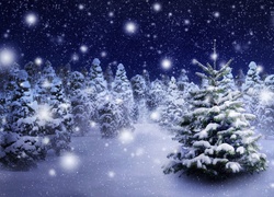 Śnieg, Drzewa, Las