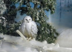 Ptak, Sowa śnieżna, Gałązki, Śnieg