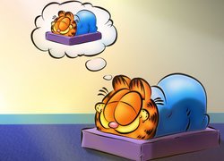 Śpiący Garfield