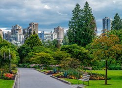 Kanada, Vancouver, Park, Stanley Park, Alejki, Drzewa, Ławka, Domy