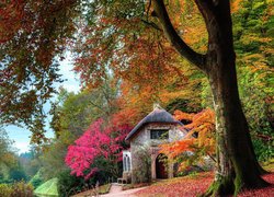 Stary dom otoczony jesiennymi drzewami
