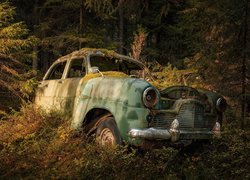 Stary samochód porzucony w lesie
