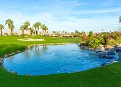 Pole golfowe, Staw, Kamienie, Palmy, Miejscowość Palm Springs, Kalifornia, Stany Zjednoczone