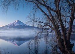 Stratowulkan Fudżi i drzewa nad jeziorem Lake Kawaguchi w Japonii