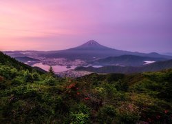Japonia, Wyspa Honsiu, Góra, Stratowulkan Fudżi, Zachód słońca, Roślinność