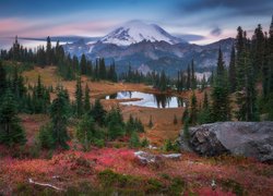 Park Narodowy Mount Rainier, Góry, Stratowulkan Mount Rainier, Drzewa, Jezioro Tipsoo, Stan Waszyngton, Stany Zjednoczone