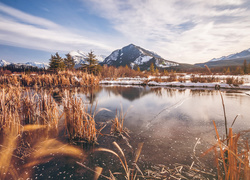 Suche trawy wokół zimowego jeziora z ośnieżonymi górami w tle