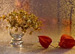 Suchy bukiet kwiatów i miechunka w dekoracji