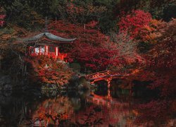 Japonia, Kioto, Świątynia, Bentendo Temple, Kompleks Daigo-ji, Drzewa, Mostek, Jesień, Odbicie
