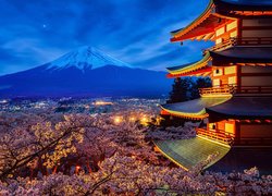 Świątynia, Chureito Pagoda, Góra, Fudżi, Mount Fuji, Drzewa, Wiosna, Miasto Fujiyoshida, Wyspa Honsiu, Japonia