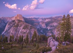 Stany Zjednoczone, Kalifornia, Park Narodowy Yosemite, Drzewa, Góry, Szczyt, Half Dome