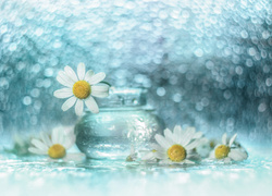 Szklany wazonik z rumiankiem i rozsypane wokół kwiatki na tle bokeh
