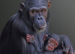 Małpy, Szympansy, Grafika