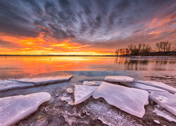 Tafle lodu na brzegu jeziora Lake Chatfield o wschodzie słońca