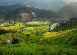 Pola uprawne, Tarasy ryżowe, Góry, Wzgórza, Mu Cang Chai, Wietnam