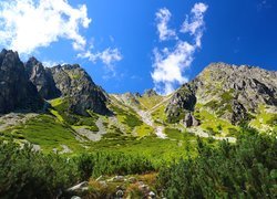 Góry, Tatry, Szczyty, Drzewa, Lasy, Słowacja