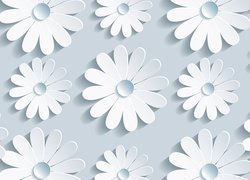 Białe, Kwiaty, Tekstura