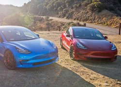 Dwa, Samochody, Czerwona, Niebieska, Tesla Model 3