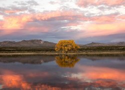 Rzeka Rio Grande, Jesień, Drzewo, Topola kanadyjska, Rezerwat przyrody, Bosque Del Apache, Góry, Wschód słońca, Nowy Meksyk, Stany Zjednoczone