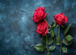 Trzy czerwone róże na ciemnym tle