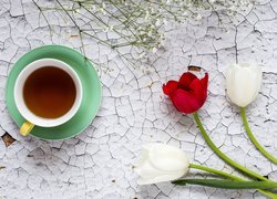 Tulipany i gipsówka obok filiżanki herbaty