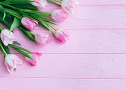 Różowo-białe, Tulipany, Różowe, Deski