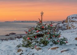 Choinka, Boże Narodzenie, Zima, Park Narodowy Raet, Morze, Skały, Wyspa Tromoy, Agder, Norwegia