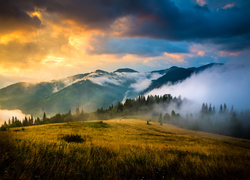 Ukraina, Góry Karpaty, Mgła, Wschód słońca, Chmury, Drzewa