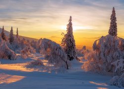 Ural w zachodzącym słońcu zimą