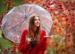 Dziewczyna, Czerwony, Sweter, Parasolka, Deszcz