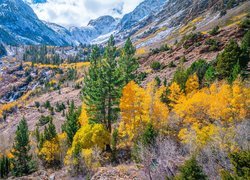 Jesień, Góry, Drzewa, Lasy, Wąwóz, Lundy Canyon, Kalifornia, Stany Zjednoczone