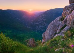 Góry Dynarskie, Skały, Rzeka Tara, Wąwóz, Roślinność, Wschód słońca, Czarnogóra