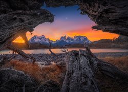 Park Narodowy Torres del Paine, Kamienisty, Brzeg, Rzeka, Drzewo, Skały, Góry Cordillera del Paine, Patagonia, Chile