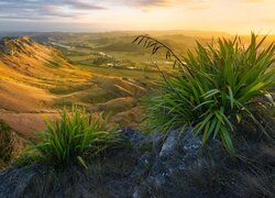 Nowa Zelandia, Region Hawkes Bay, Góry, Te Mata Peak, Wzgórza, Wschód słońca, Dolina, Rośliny