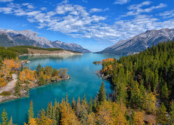 Góry Skaliste, Canadian Rockies, Jezioro, Abraham Lake, Lasy, Drzewa, Alberta, Kanada