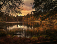 Widok na jezioro i las w jesiennych kolorach
