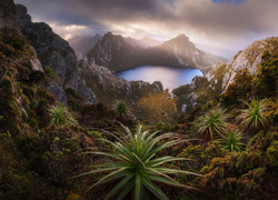 Australia, Tasmania, Park Narodowy Southwest, Góry, Skały, Jezioro Oberon, Rośliny