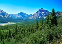 Stany Zjednoczone, Stan Montana, Park Narodowy Glacier, Góry, Jezioro Saint Mary Lake, Drzewa