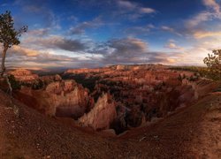 Kanion, Drzewa, Sosny, Korzenie, Park Narodowy Bryce Canyon, Utah, Stany Zjednoczone