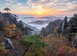 Park Prowincjonalny Daedunsan, Drzewa, Sosny, Skały, Mgła, Wschód słońca, Jesień, Korea Południowa