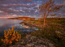 Rosja, Karelia, Jezioro, Ładoga, Jesień, Drzewa, Roślinność, Skały