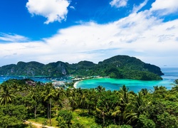 Tajlandia, Wyspa Ko Phi Phi Don, Morze Andamańskie, Plaża, Palmy, Roślinność