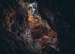 Widok z jaskini na jesienne drzewa